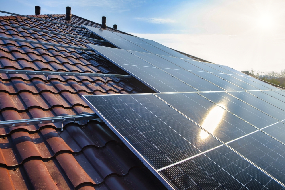 Next-Gen Perspectives: What Gen Z and Young Millennials are Saying About Solar Energy and Sustainability Amidst Economic Challenges